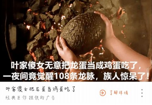 狂婿如龙陆叶白风雪