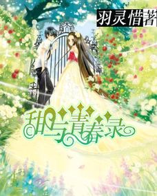 氪金玩家